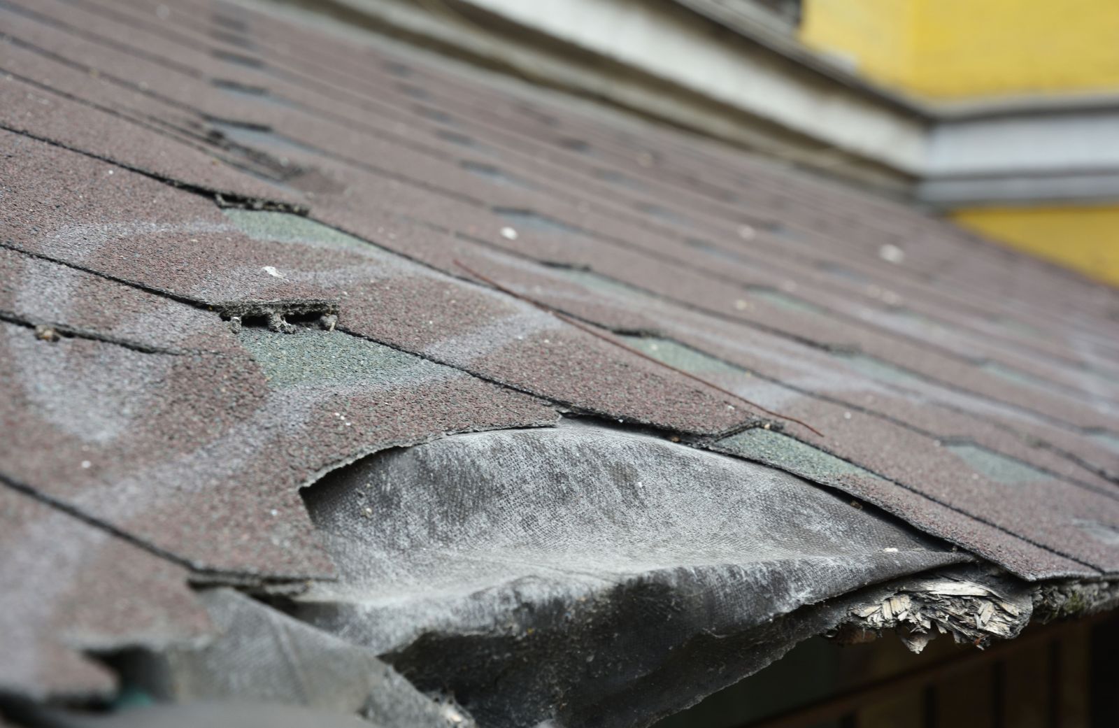 Roof Xperts Images