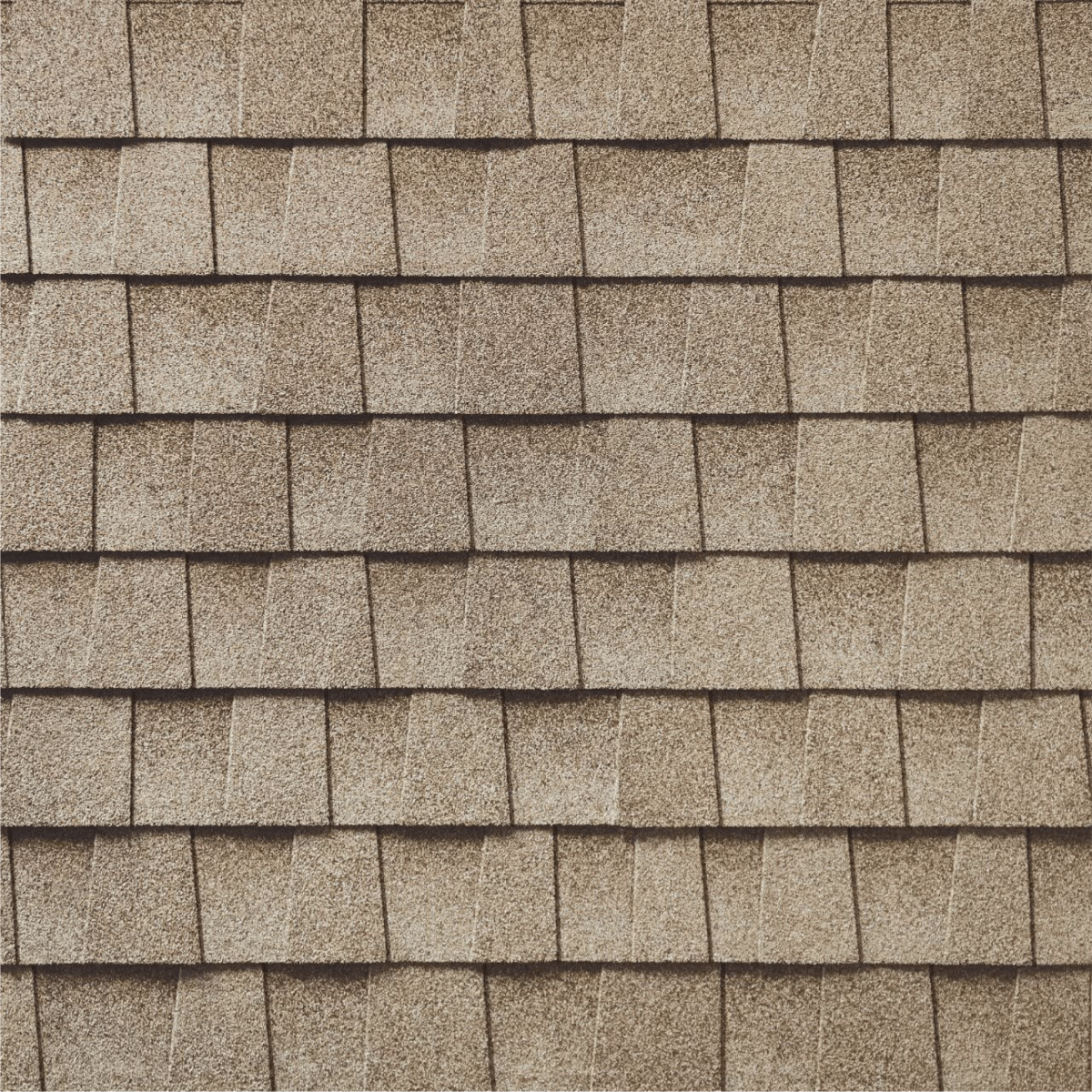 Roof Xperts Images