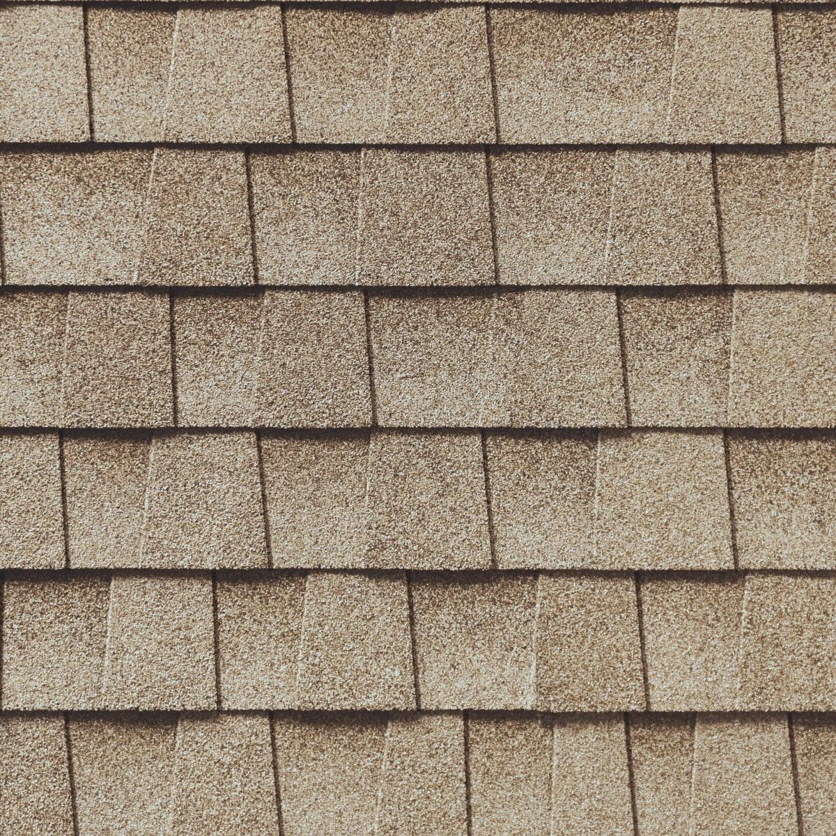 Roof Xperts Images