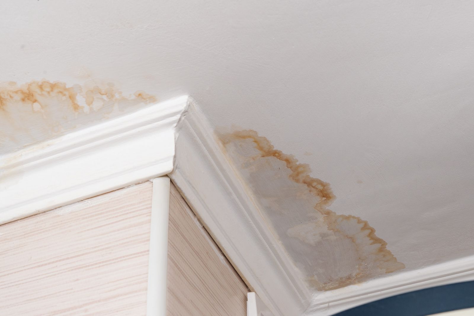 Roof Xperts Images