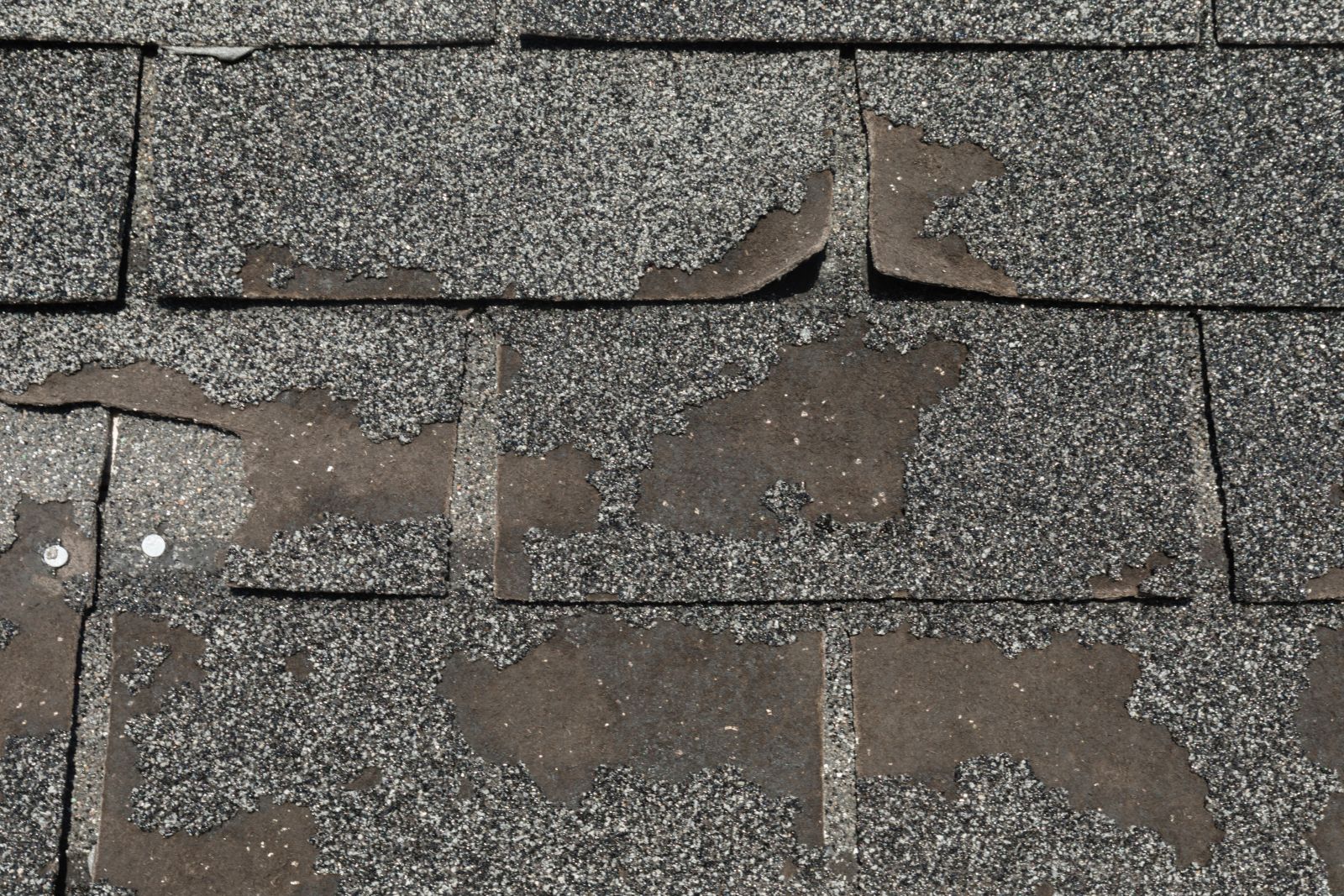 Roof Xperts Images