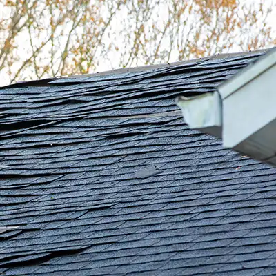 Roof shingles with storm damage